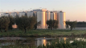 CONFCOOPERATIVE, SOLIDARIETÀ ALL'ANTICA CANTINA SOCIALE DI SAN SEVERO PER IL BRUTTO EPISODIO DI SABOTAGGIO